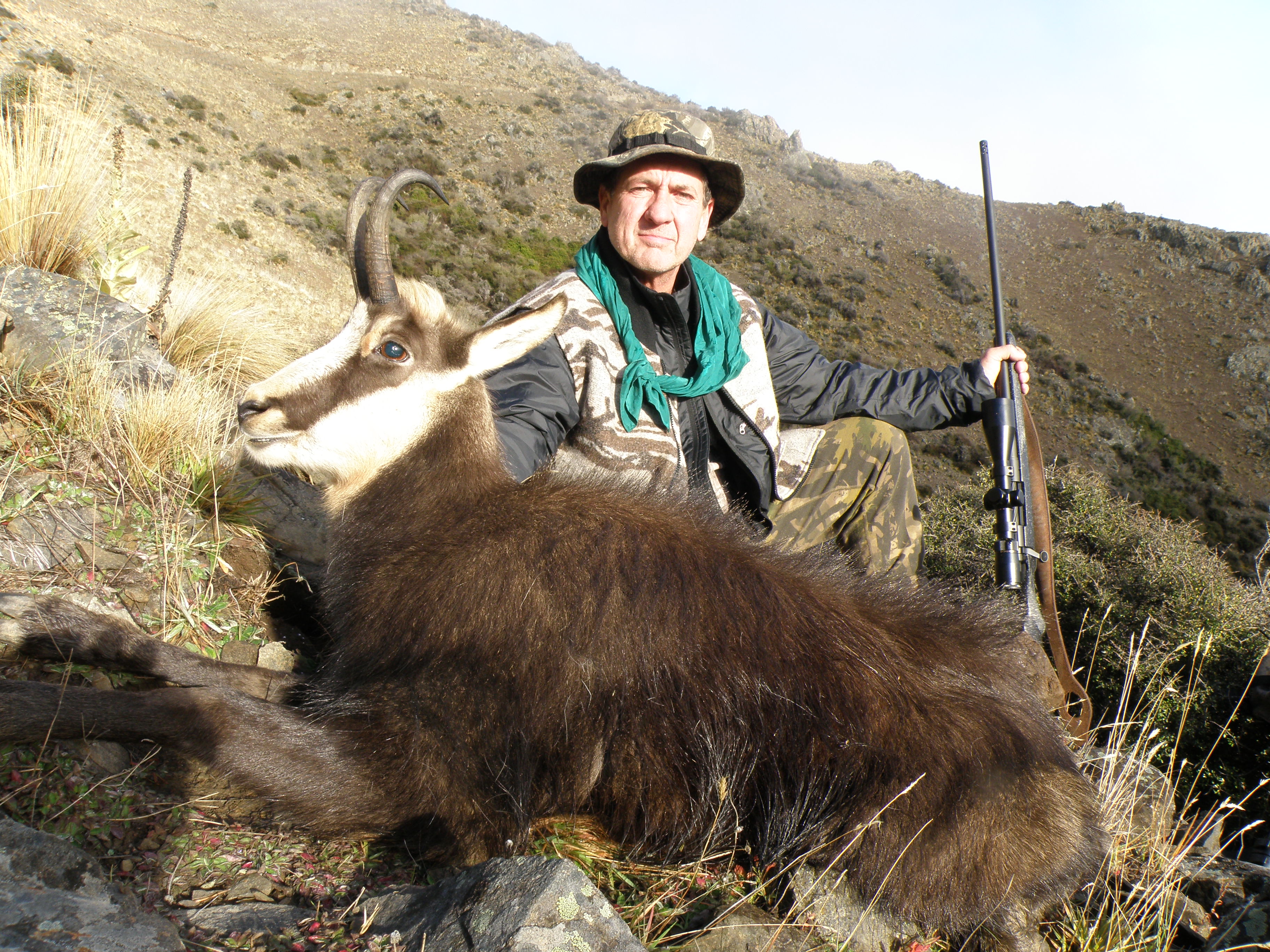 Hunt Chamois