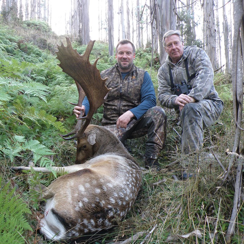 Sika South Pacific